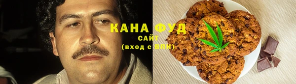 молекула духа Богородицк