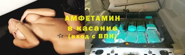 молекула духа Богородицк