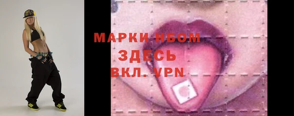 молекула духа Богородицк