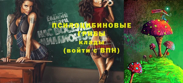 мет Богданович