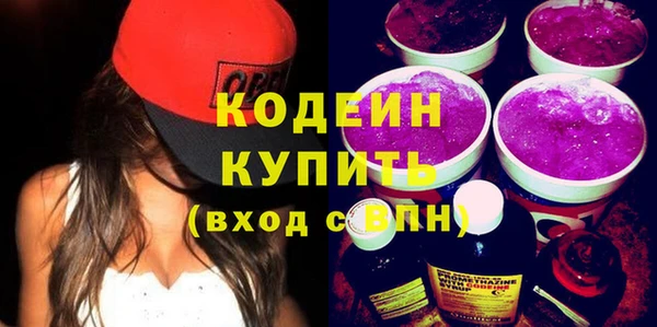 молекула духа Богородицк