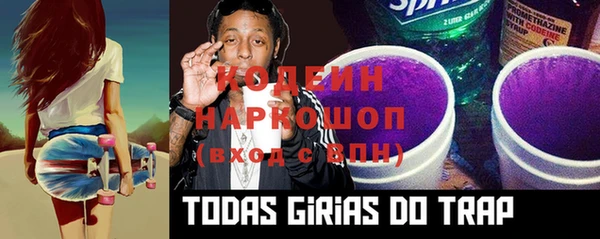 молекула духа Богородицк