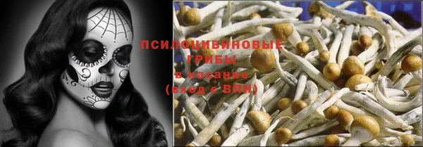 молекула духа Богородицк