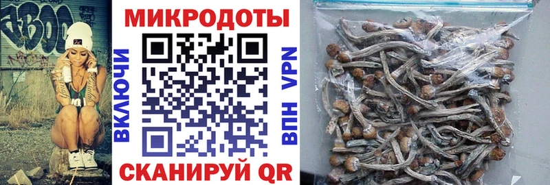 Псилоцибиновые грибы мухоморы  Пионерский 